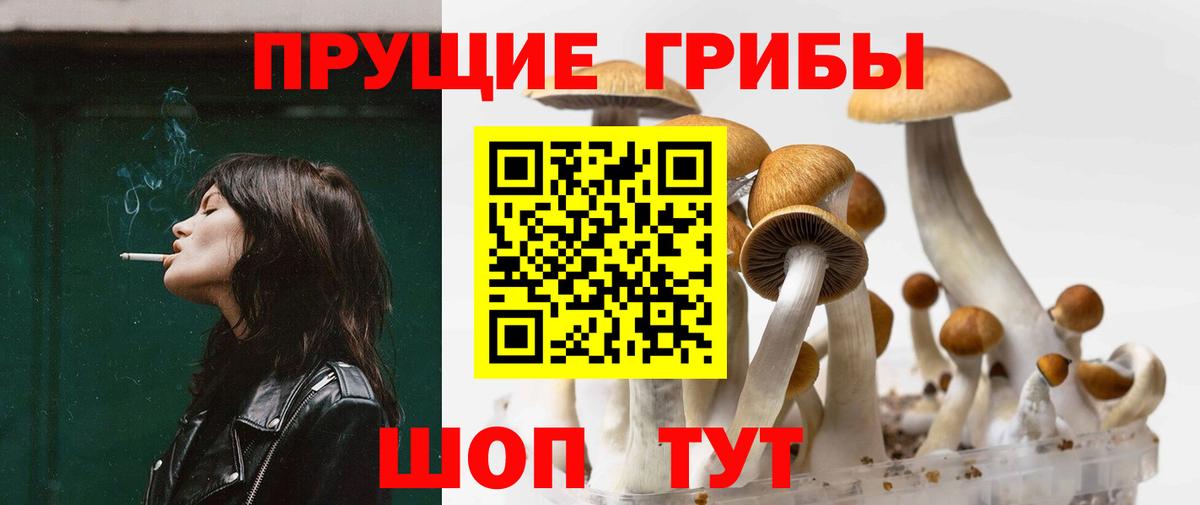 Псилоцибиновые грибы Magic Shrooms  Вход с VPN  Галлюциногенные грибы Psilocybine cubensis  Белореченск 